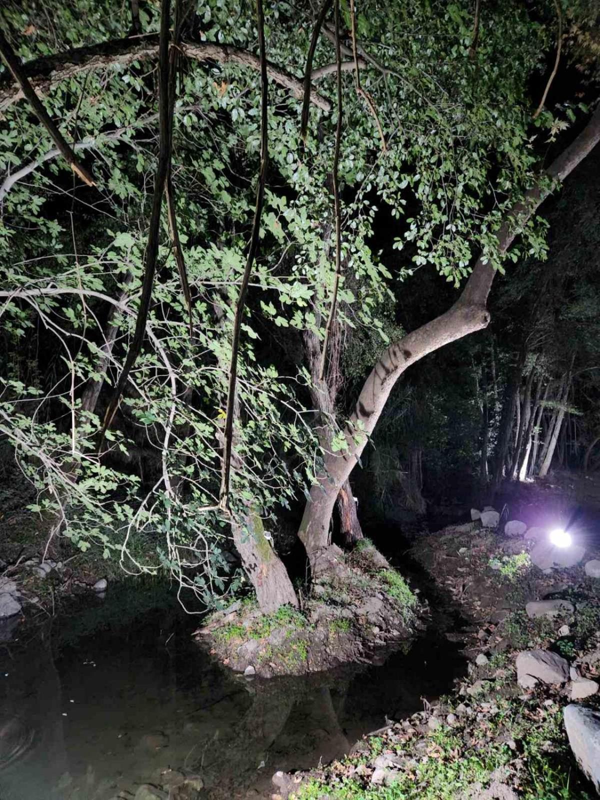 Cabană River Glamping Kalopanayiotis Kalopanagiotis