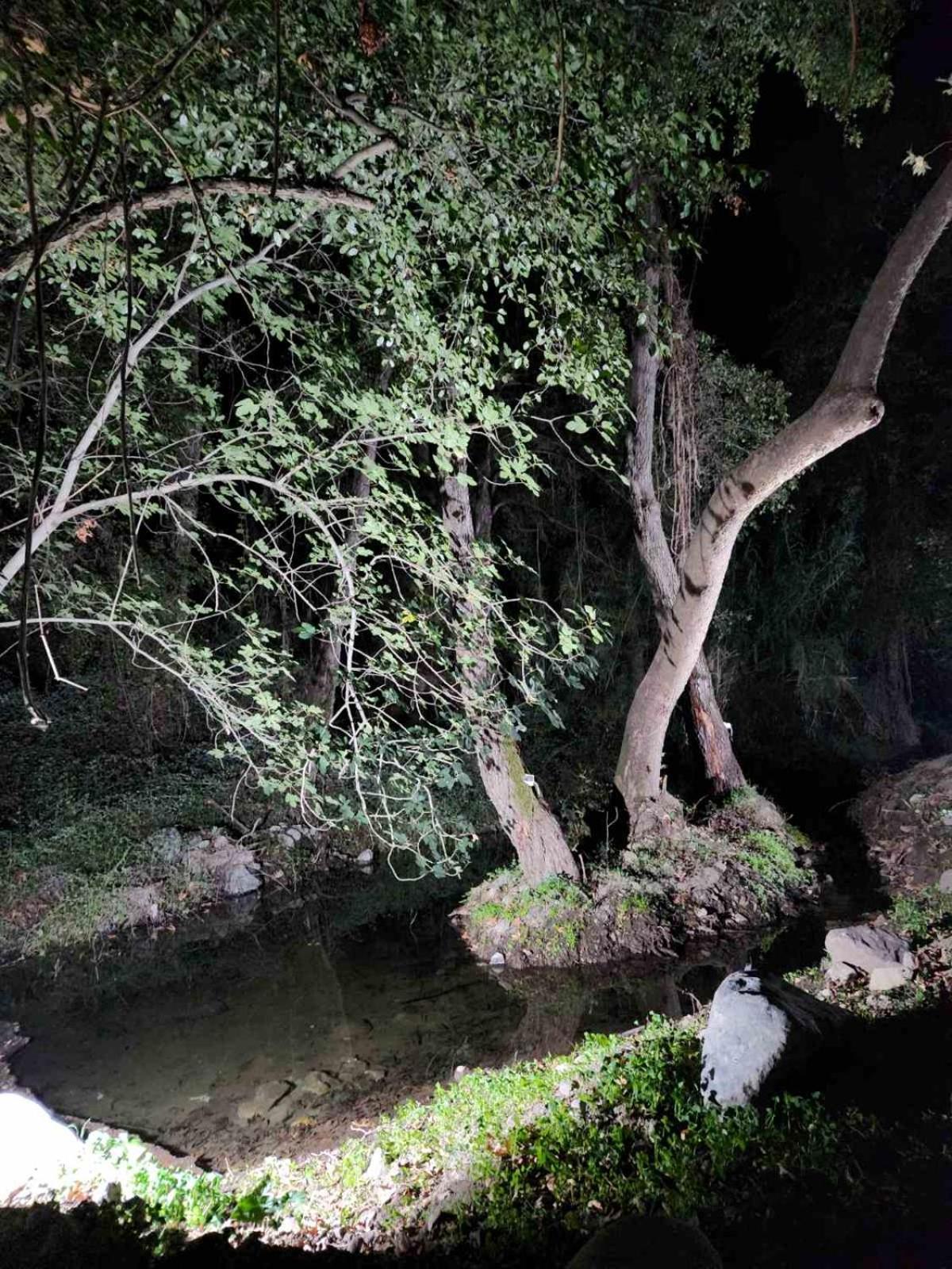 River Glamping Kalopanayiotis *